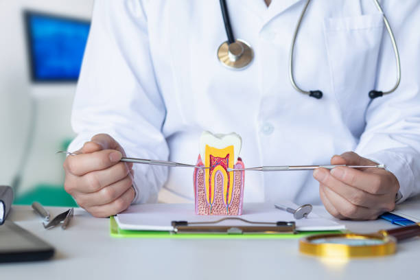 Best Emergency Dental Care for Broken or Chipped Teeth in American Falls, ID